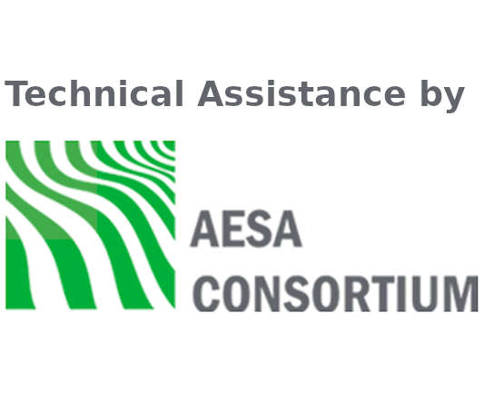 AESA Logo